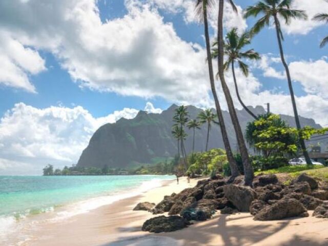 Verão