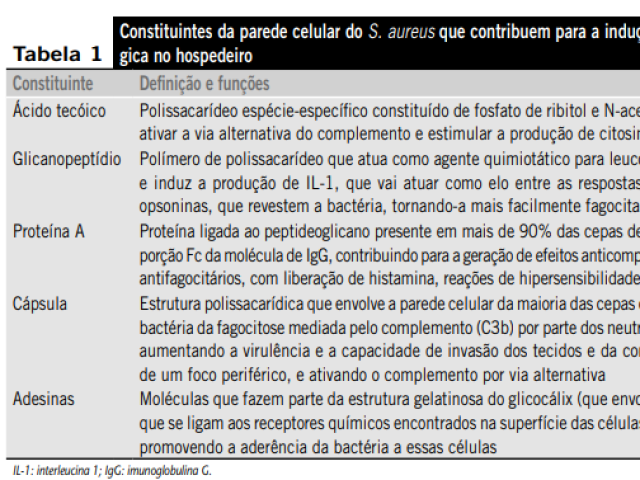 As bactérias podem apresentar múltiplos fatores de virulência que devem ser analisados em cada contexto para compreender a fisiopatologia da doença