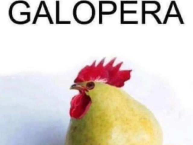 Galopera