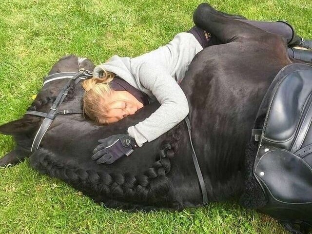 Passa o tempo com seu pet❤️