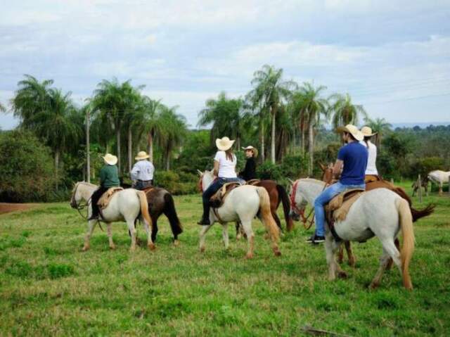 Campo