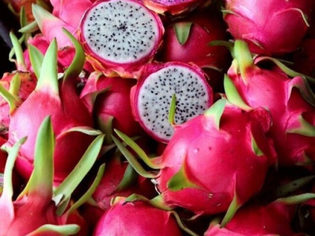 Pitaya