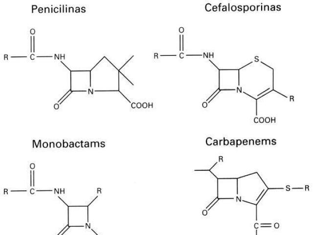 Beta-lactâmicos