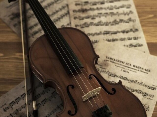 Violino