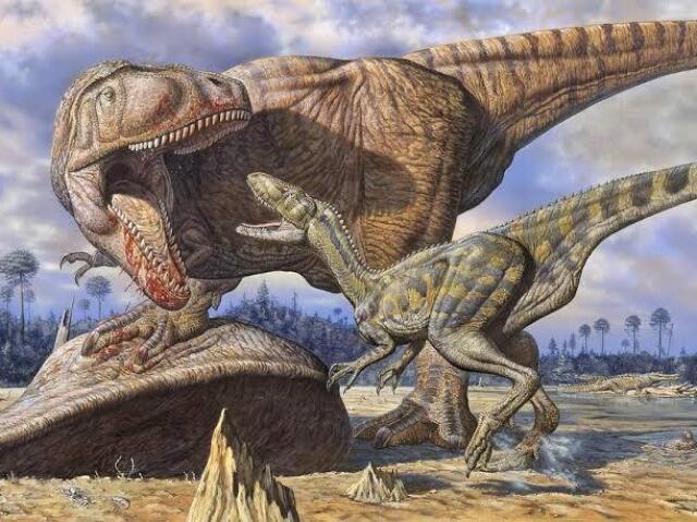 Carchadorontosaurus / Carcarodontossauro