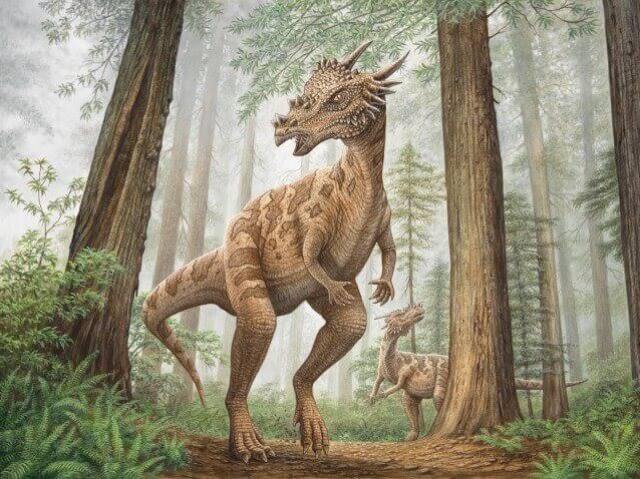 Dracorex