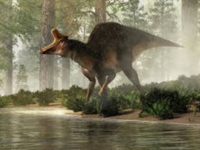 Lambeosaurus / Lambeossauro