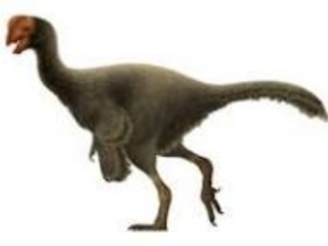 Oviraptor, 1939