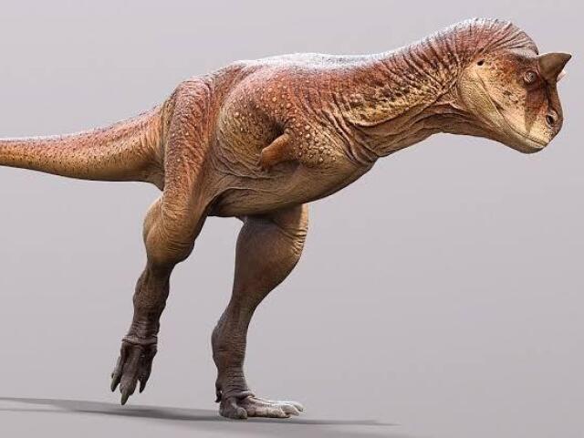 Carnotaurus / Carnotauro