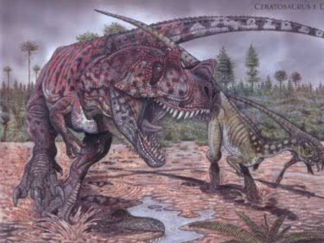 Ceratosaurus / Ceratossauro