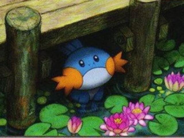 Mudkip-Tipo água