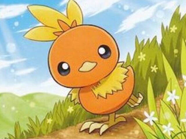 Torchic-tipo fogo