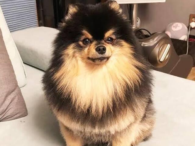 Yeontan