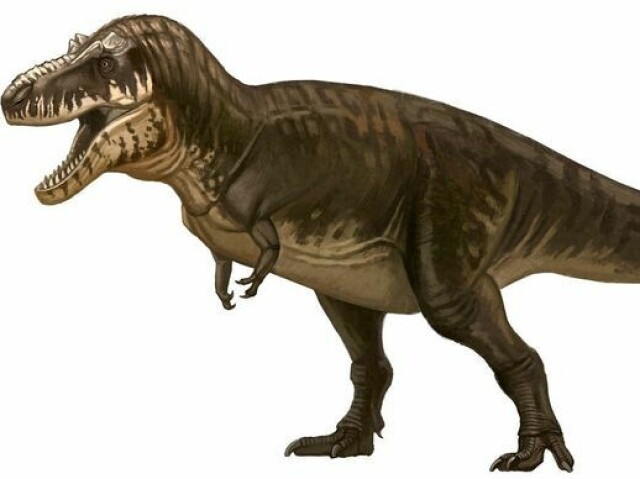 Tiranossauro Rex