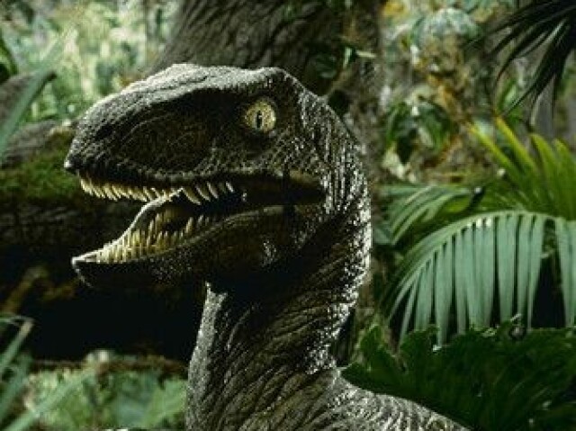 Velociraptor