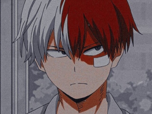 Igual o Todoroki ✨
Calmo sempre, tenta sempre ter paciência e fica na dele ✨✨