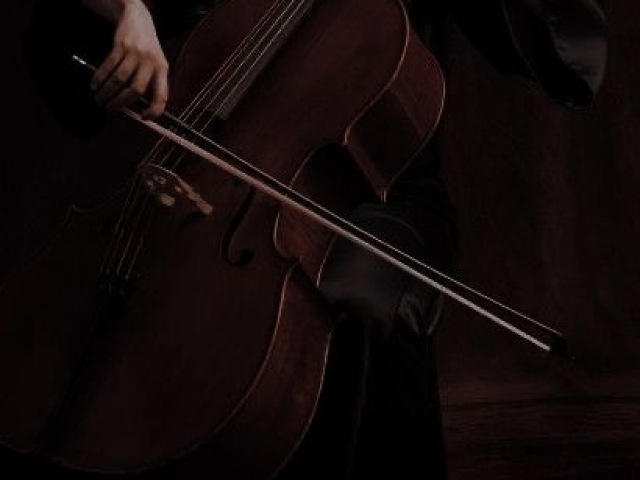 Violoncelo