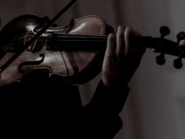 Violino