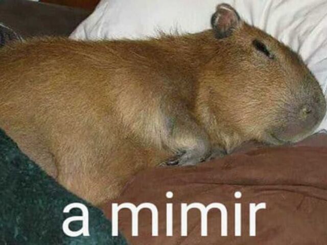 Ah sla... Eu vou dormir mesmo