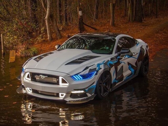 MUSTANG