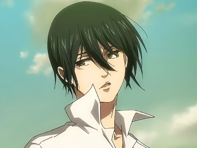 mikasa