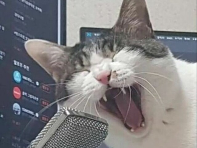 ππΜπ€ π¦πͺππ§π€ π«ππ§ππ£ππ.