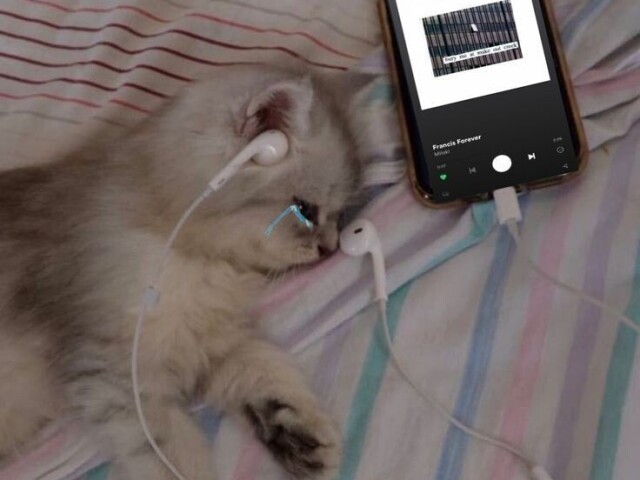 ππͺπ§π€ π₯ππ©/π£πΜπ€ π©ππ£ππ€.