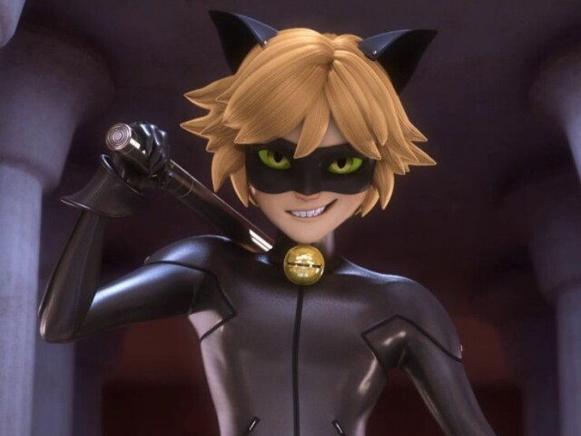 Cat noir