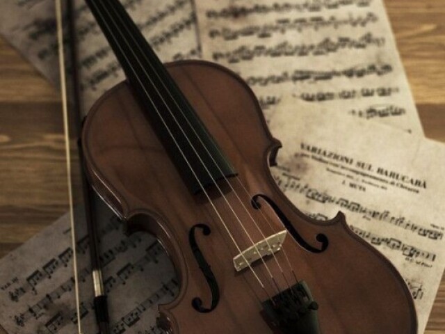 Violino