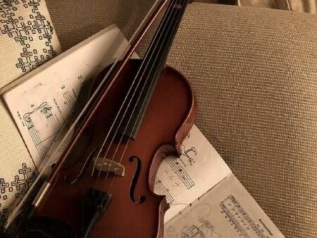 Violino