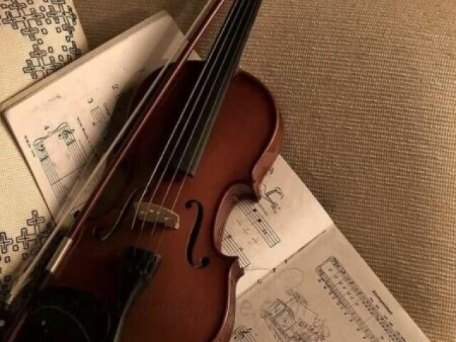 Violino