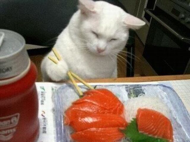 sushi