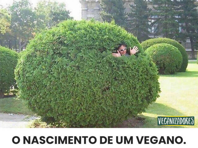 eu sou veg hkkkk