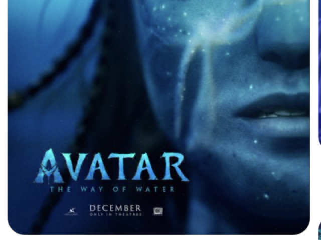 Avatar🌊