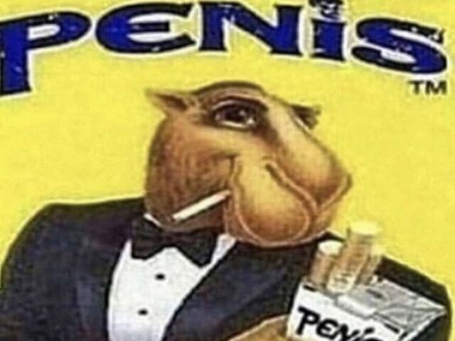 Penis