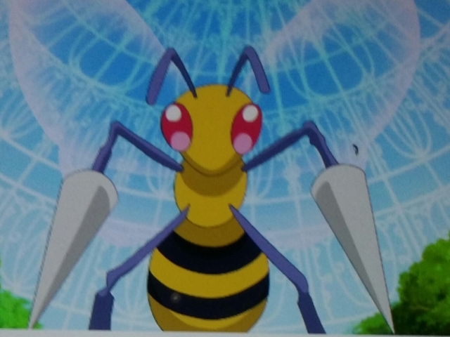 Beedrill