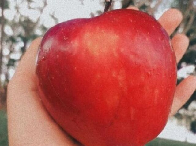 ~🍎~