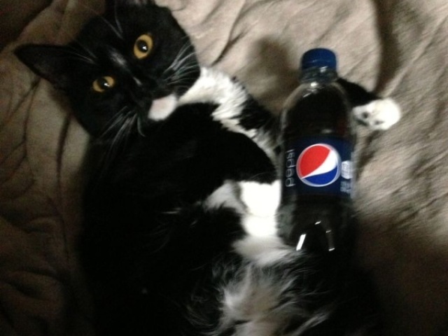 pepsi black