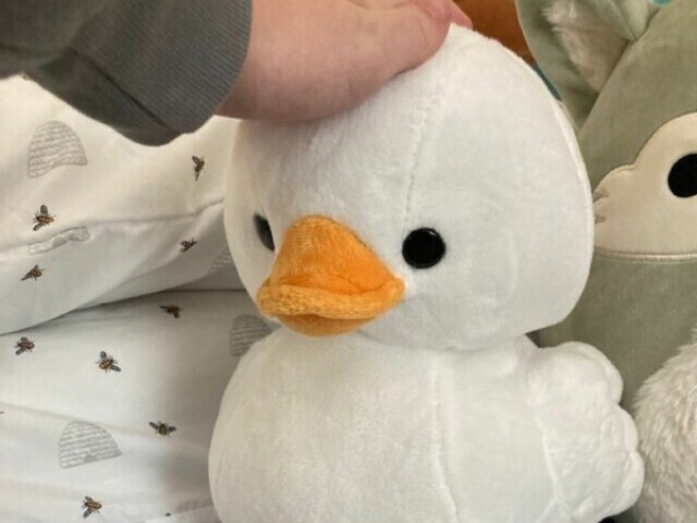 ๐