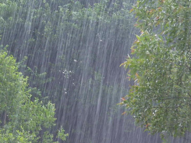 A água começou a cair do céu e parou nos lugares que a água está hoje em dia.