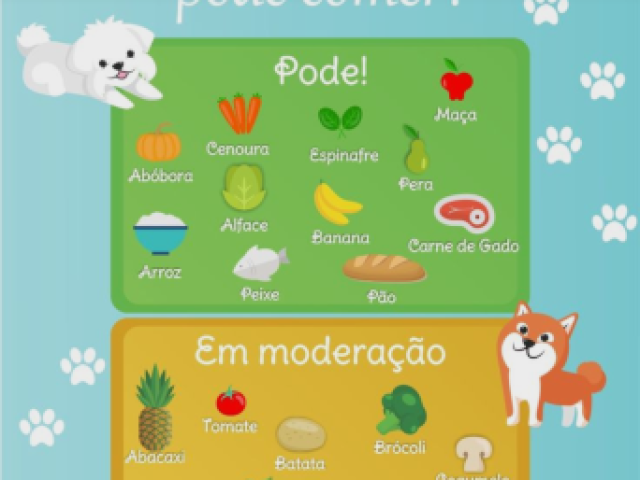 Esse para os pets 🐾