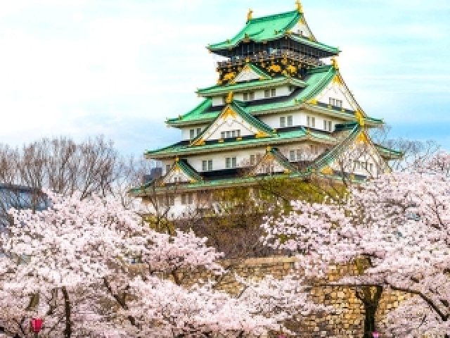 Osaka, Japão 💜