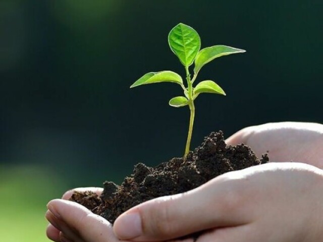 Terra, da terra nascemos, pra Terra voltaremos🌱💚