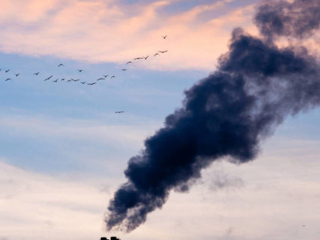 Fumaça e gases tóxicos.