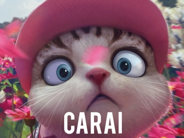 kitty