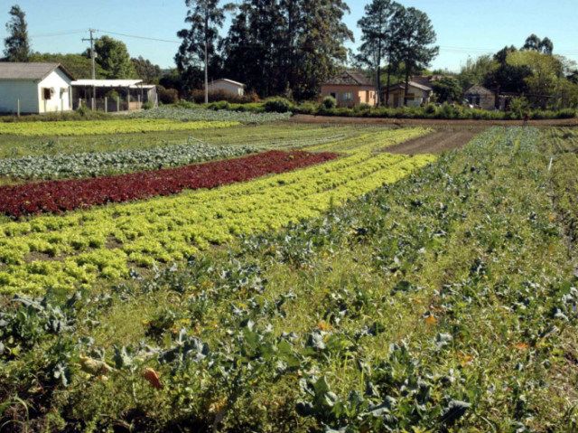 Cidades pequenas possuem uma relação bem próxima à Zona Rural.