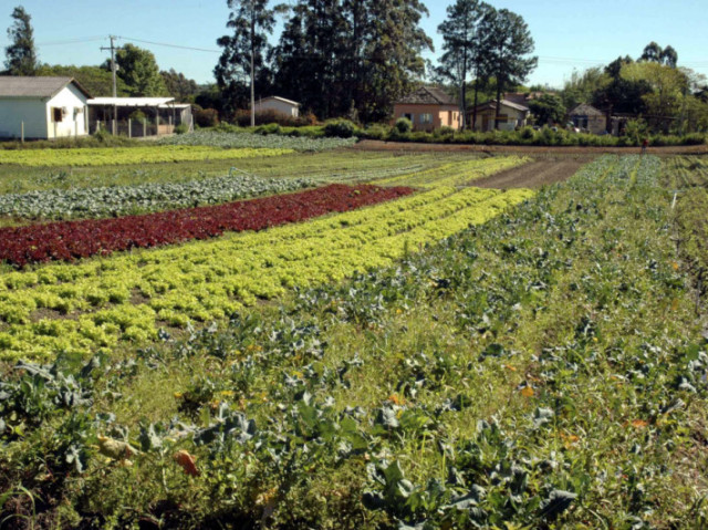 Cidades pequenas possuem uma relação bem próxima à Zona Rural.