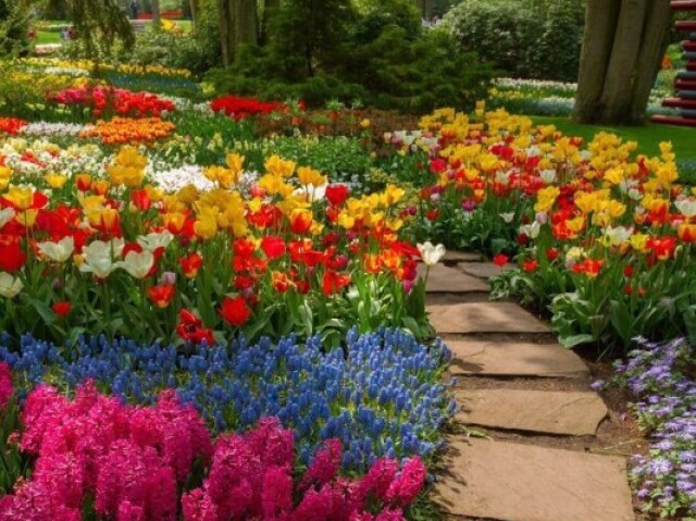 Um jardim grande com muitas plantas