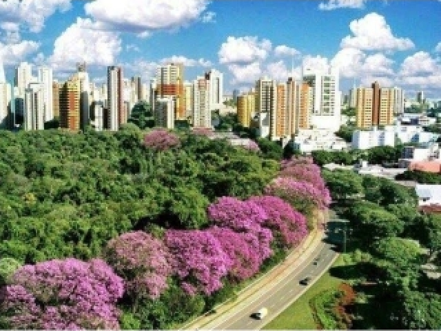 *minha cidade*