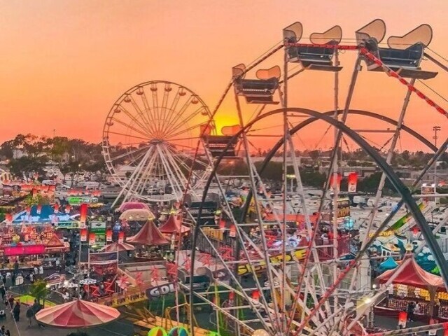 🎡